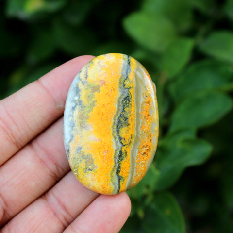 Natural Bumble Bee Jasper Oval Palm Stone