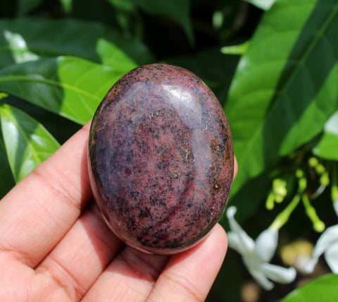 Natural Garnet Palm Stone