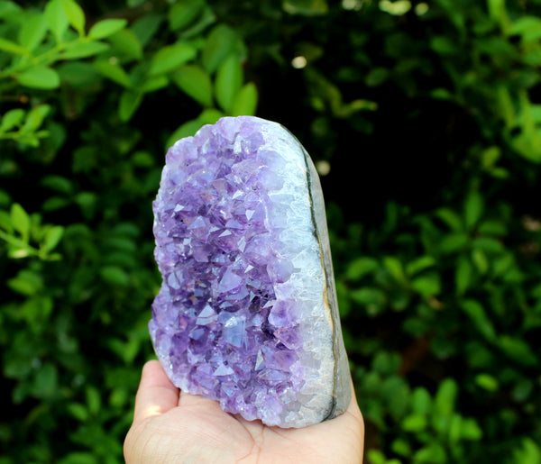 Natural Large Raw Amethyst Cluster