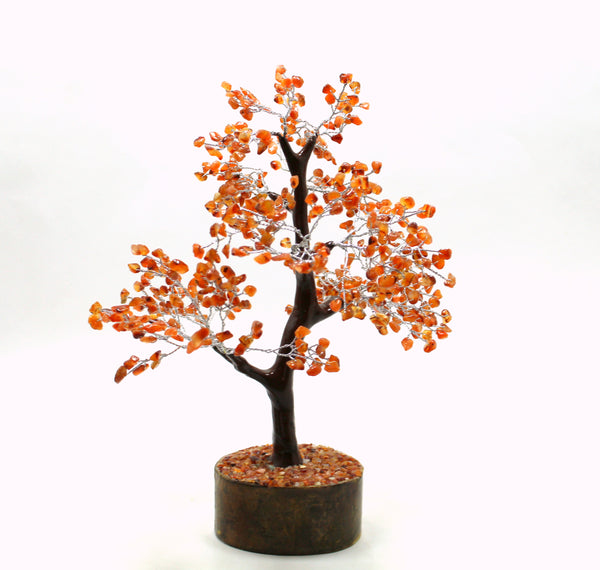 Natural Carnelian 500 Beads Gem Tree